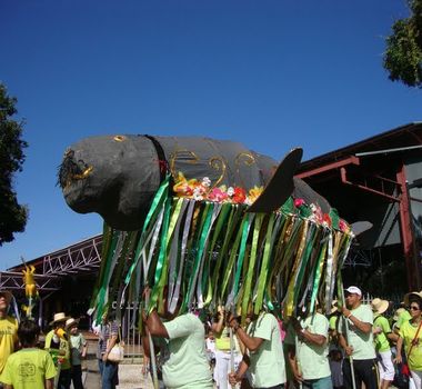 Imagem - Arraial do Pavulagem leva o 'Cordão do Peixe-Boi' de volta às ruas de Belém