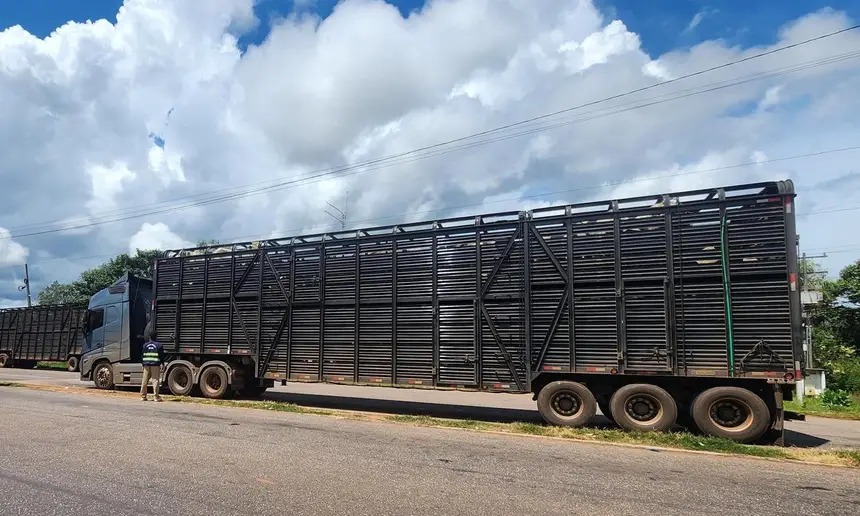 A apreensão ocorreu no posto fiscal de São José, em Xinguara, sudeste do estado.
