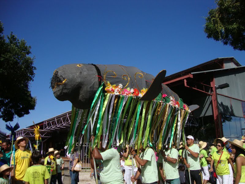 Arraial do Pavulagem leva o 'Cordão do Peixe-Boi' de volta às ruas de Belém.