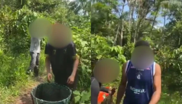 Produtora de açaí de 57 anos expõe furtos e sofre agressões no Baixo Acará