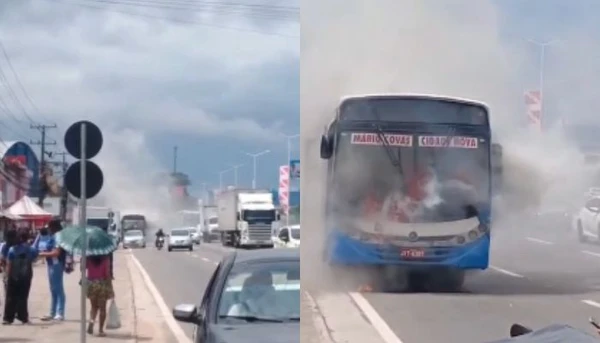 Vídeo: ônibus pega fogo na BR-316, em Ananindeua