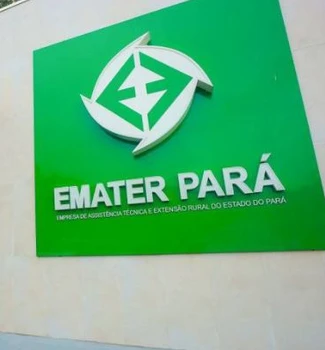 Imagem - EMATER-PARÁ abre PSS com 38 vagas e salários de até R$ 4,7 mil; saiba como se inscrever
