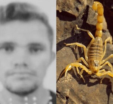 Imagem - Jovem morre após ser picado por escorpião em área de garimpo no Pará