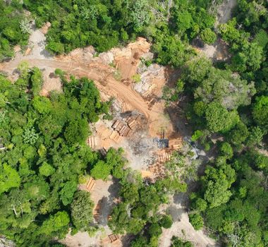 Imagem - PF e IBAMA desativam serraria clandestina em área de desmatamento ilegal no Pará