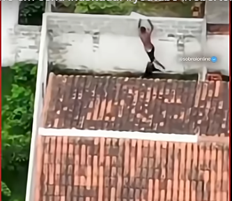 Imagem - Vídeo: Homem pula muro de casa e é surpreendido por Pit Bull durante tentativa de fuga