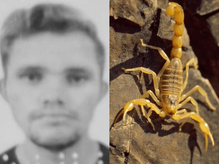 Imagem - Jovem morre após ser picado por escorpião em área de garimpo no Pará