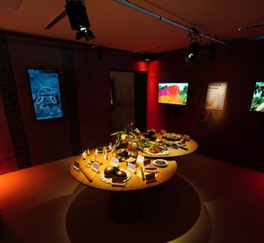 Imagem - Em Belém, exposição “Aysú: os sentidos da origem” celebra a Amazônia através dos sentidos