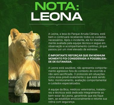Imagem - Leoa não será sacrificada após morte de jovem em zoológico de João Pessoa