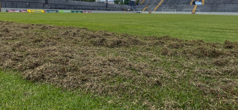 Gramado do Baenão já começou a receber melhorias para 2026