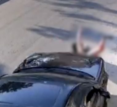 Imagem - Mulher arrastada em SP deixa coma induzido após 4ª cirurgia