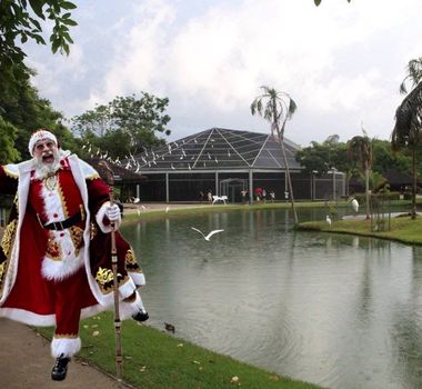 Imagem - Papai Noel, música e teatro marcam edição especial da Domingueira neste domingo