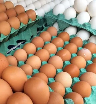 Imagem - Preços dos ovos têm queda em Belém e recuos chegam a mais de 20%