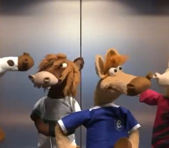 Imagem - Torcida do Remo critica sotaque do cavalinho do time no Fantástico