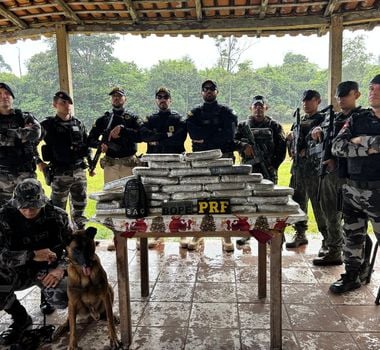 Imagem - PRF e BOPE apreendem 30 kg de skunk durante fiscalização na BR-316, em Marituba