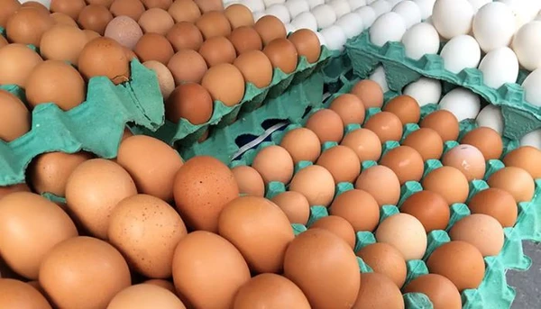 Preços dos ovos têm queda em Belém e recuos chegam a mais de 20%