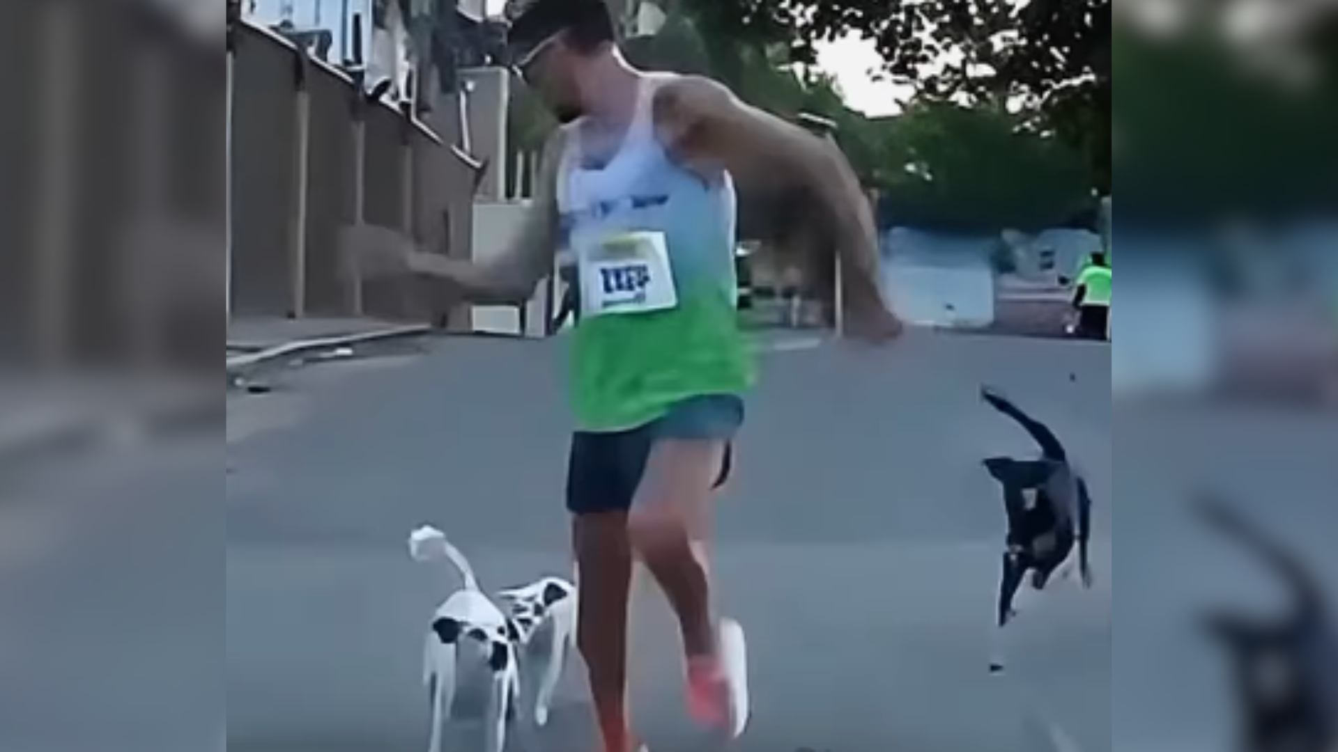 Cena divertida registrada em Fortaleza arrancou risadas nas redes 