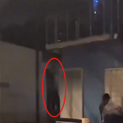 Ele ainda escapou de ser eletrocutado por uma cerca elétrica que no momento estava desligada.