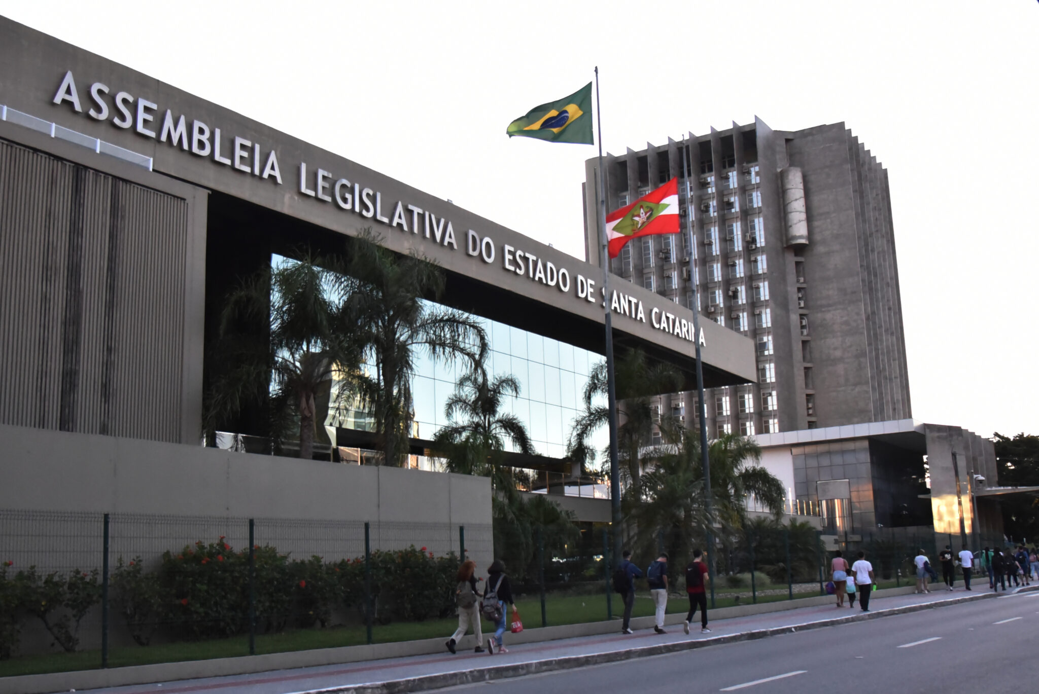 Imagem - Alesc aprova projeto que veta cotas raciais em universidades públicas de Santa Catarina