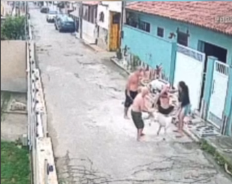 Mulher é atacada por um cachorro enquanto passeava com pet na rua