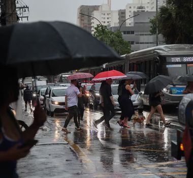 Imagem - Defesa Civil alerta para 4 dias de tempestades e risco de transtornos em São Paulo