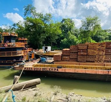 Imagem - Operação integrada apreende 856,70 m³ de madeira serrada no Pará