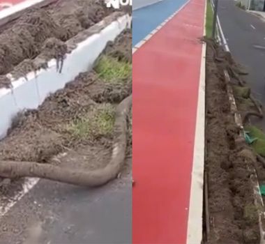 Imagem - Nova Tamandaré é alvo de vândalos e situação já estaria recorrente