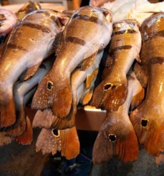 Imagem - Pescado fica mais caro em Belém e aumentos superam a inflação