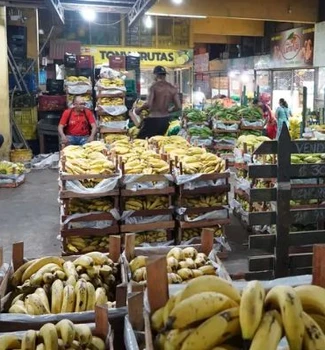 Imagem - Varejão de Natal da Ceasa promete preços baixos e grande movimento em Belém