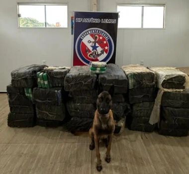 Imagem - Pará atinge marca histórica de apreensão de 16 toneladas de drogas em 2025