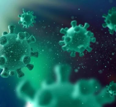 Imagem - Gripe K é detectada no Brasil e entra no radar da vigilância epidemiológica