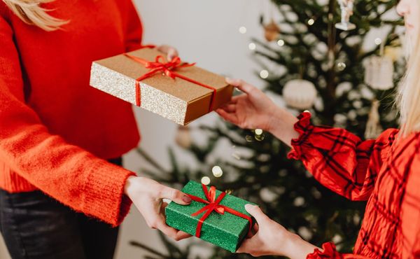 Presente com Intenção de Xodó e o Gesto de Reconexão no Norte do Brasi