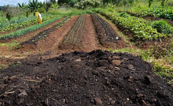 CMN amplia socorro a produtores afetados pelo clima