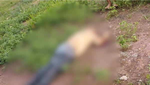 Servidor da SEAP é encontrado morto em área de mata em Ananindeua