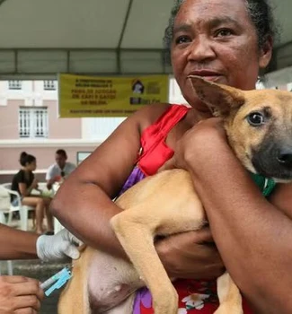 Imagem - Belém intensifica vacinação antirrábica com postos espalhados pela cidade neste sábado