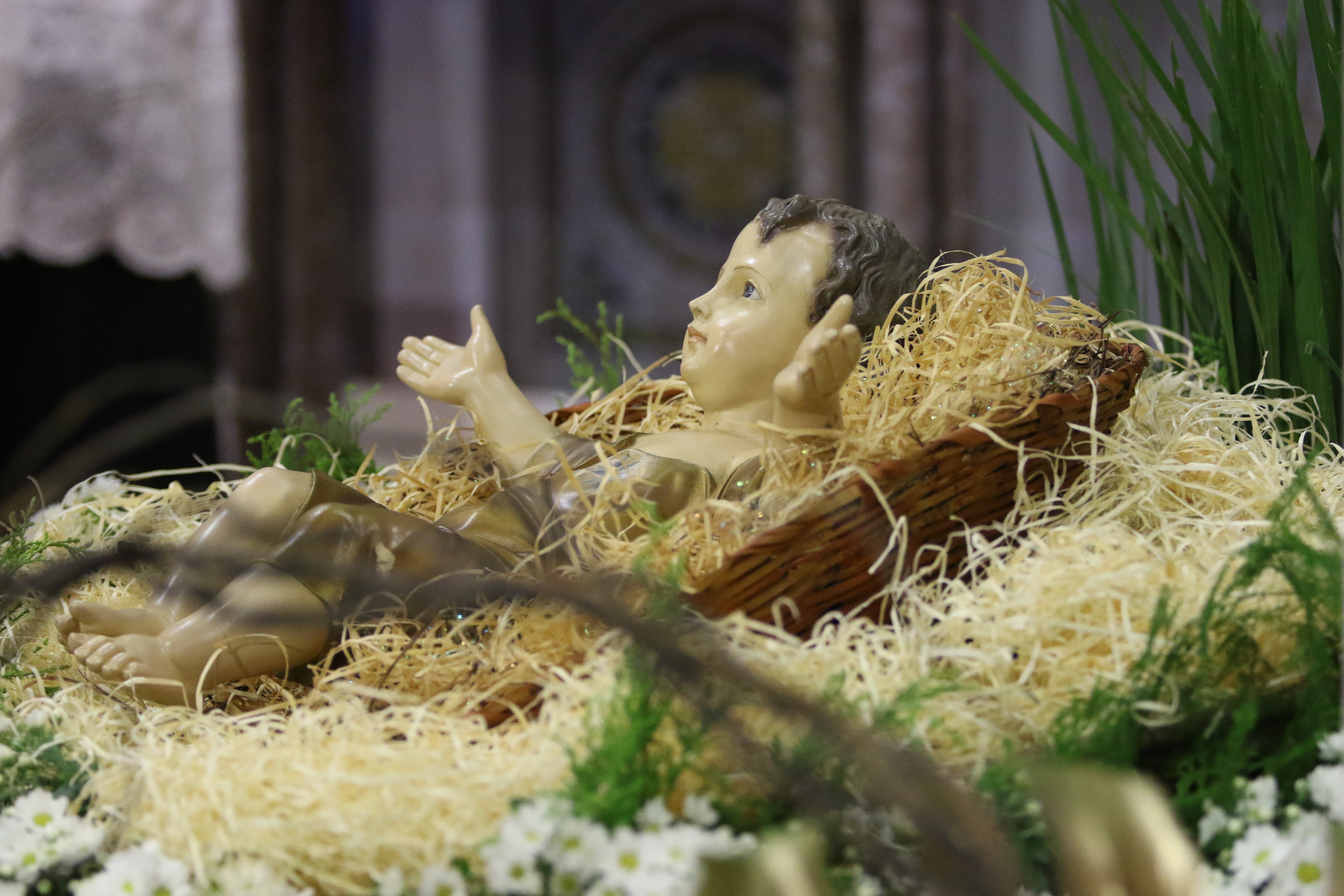 Basílica de Nazaré divulga programação especial de missas para o Natal e o Ano-Novo em Belém