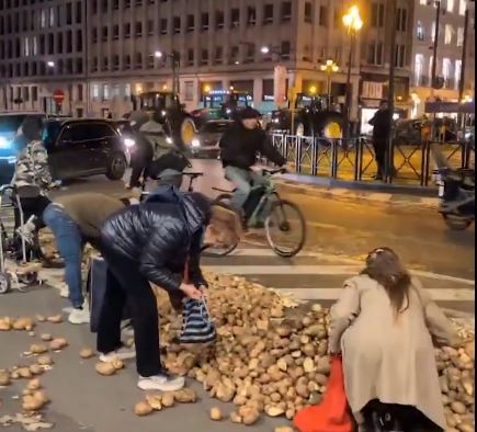Imagem - Agricultores protestam contra Mercosul em Bruxelas com 'batataço'