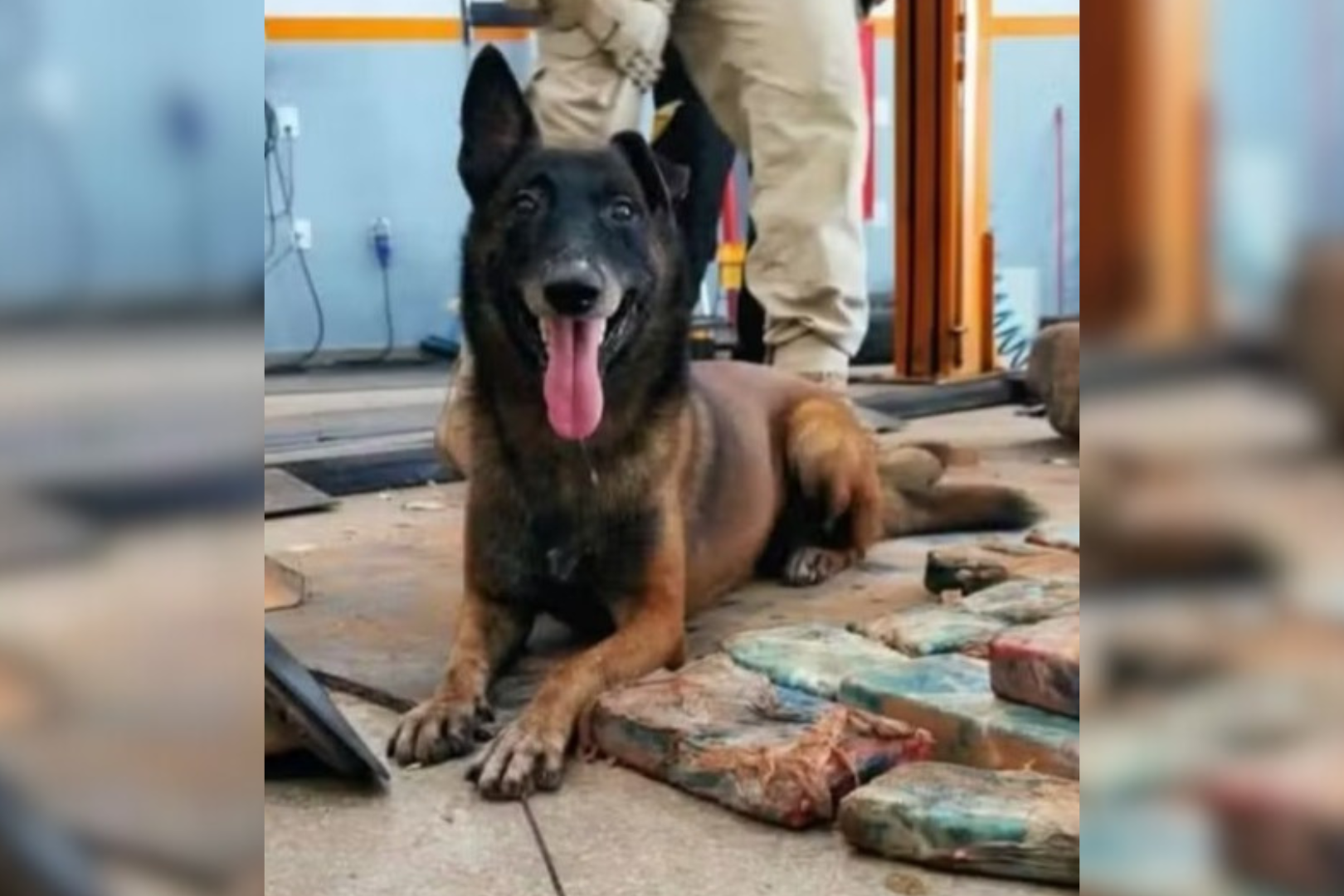 Ziah dedicou anos de serviço a polícia -