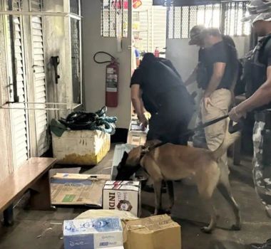 Imagem - Base Fluvial Antônio Lemos apreende quatro tabletes de drogas no Marajó