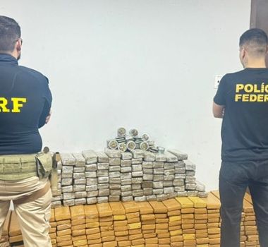 Imagem - PF e PRF apreendem 383 kg de skunk e prendem duas pessoas em Santa Maria, no Pará