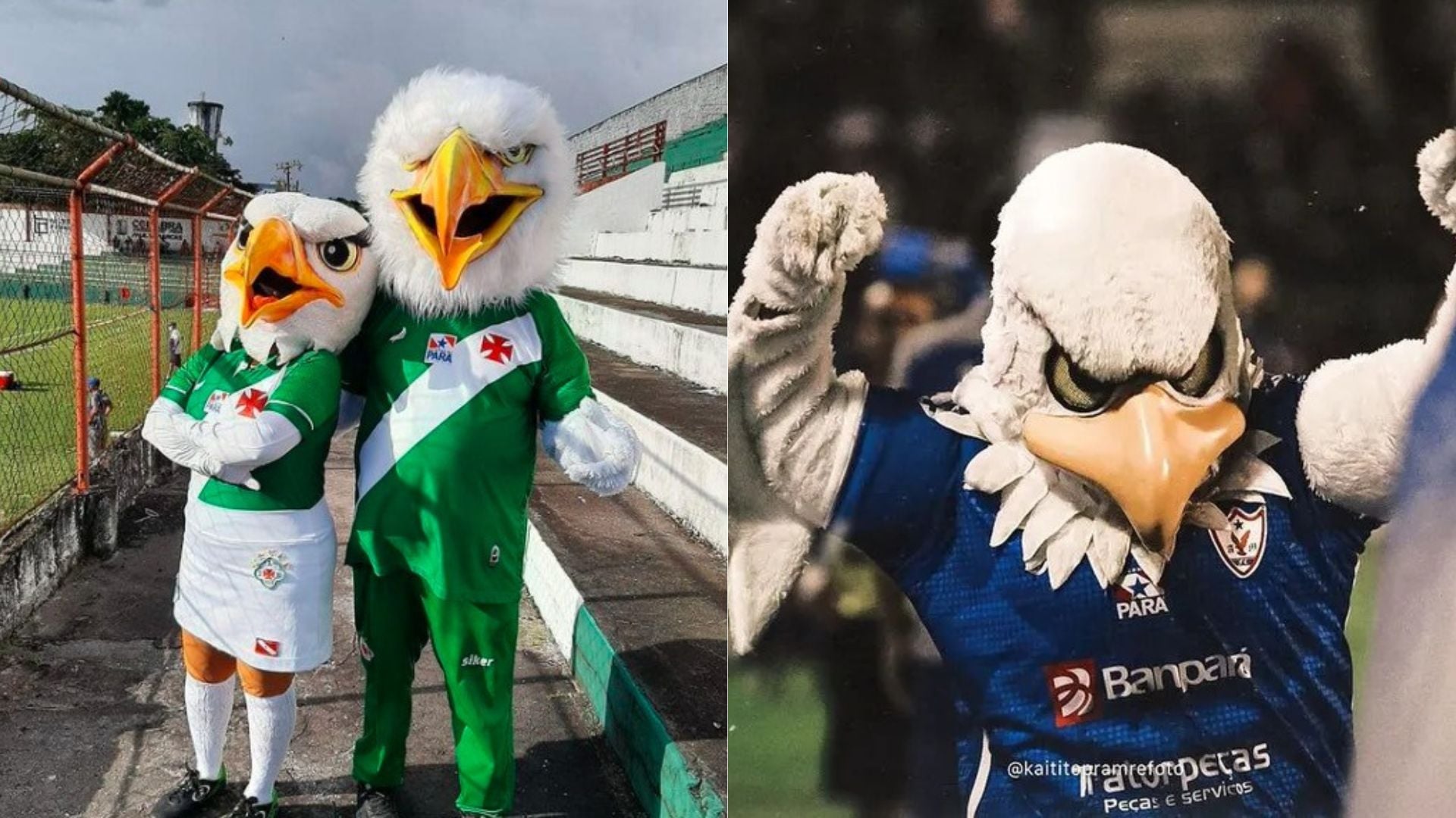 Lusa e Azulão pediram mais equidade nos projetos esportivos - 