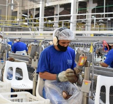 Imagem - Pará aparece no ranking de estados com maior crescimento potencial de força de trabalho