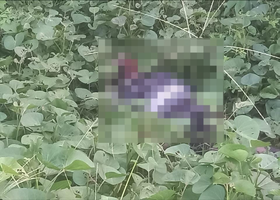 Corpo de homem é encontrado em riacho próximo a portão da UFPa em Belém