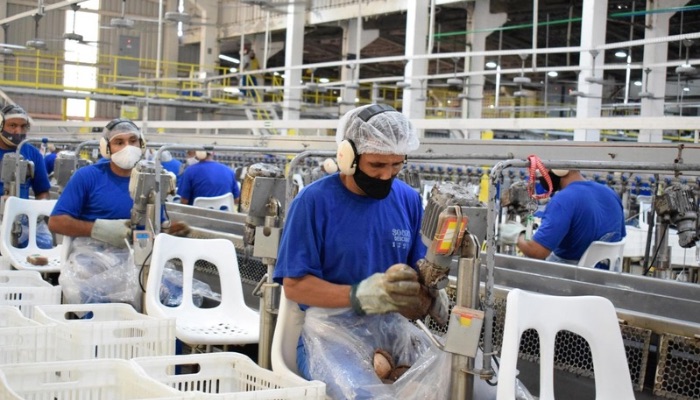 (Pará aparece no ranking de estados com maior crescimento potencial de força de trabalho)
