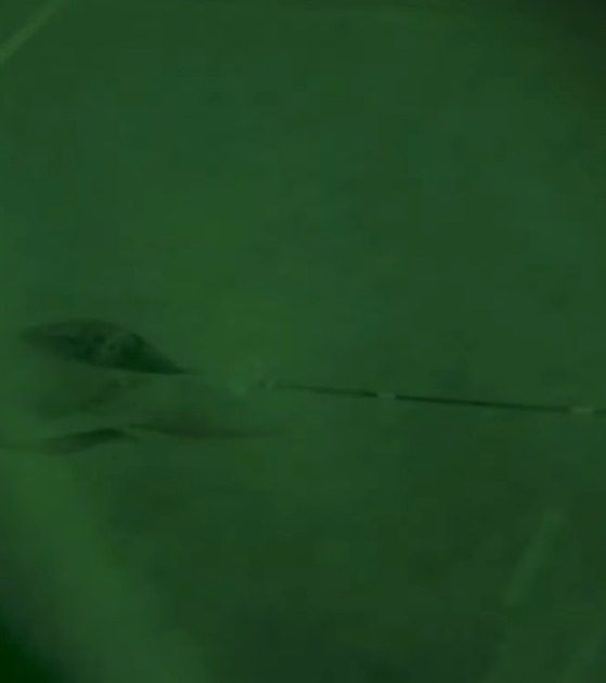 (Caças a serviço do Reino e França, que bombardearam um suposto depósito de armas do Estado Islâmico)