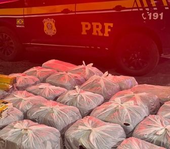 Imagem - PRF apreende incensos mata-mosquito irregulares na BR-316, em Castanhal