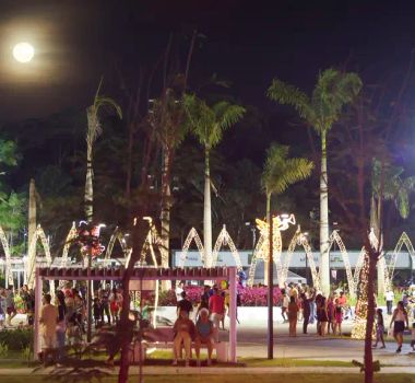 Imagem - Natal Encantado do Parque da Cidade encerra programação com mais de 600 mil visitantes