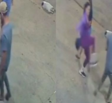 Imagem - Mulher reage à agressão contra gato de rua e vai pra cima de agressor em Capitão Poço