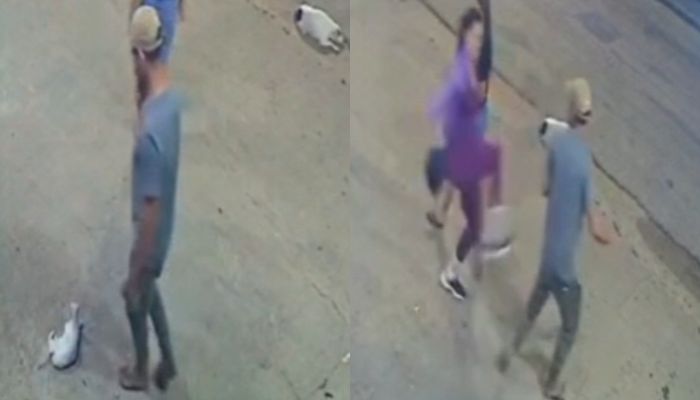 Mulher reage à agressão contra gato de rua e vai pra cima de agressor em Capitão Poço