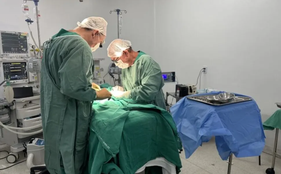 (Os recém-nascidos estavam internados na Unidade de Terapia Intensiva Neonatal (UTIN) do Hospital Estadual da Mulher (Hemu), em Goiânia, onde haviam nascido.)