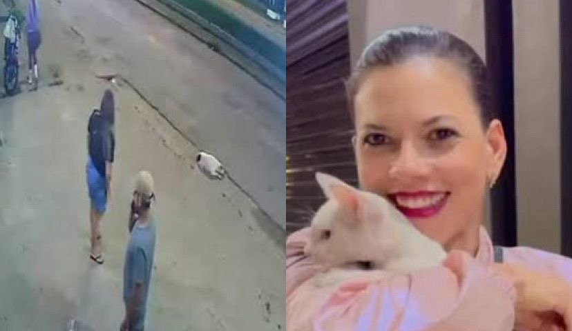 Mulher adota gato agredido no Pará